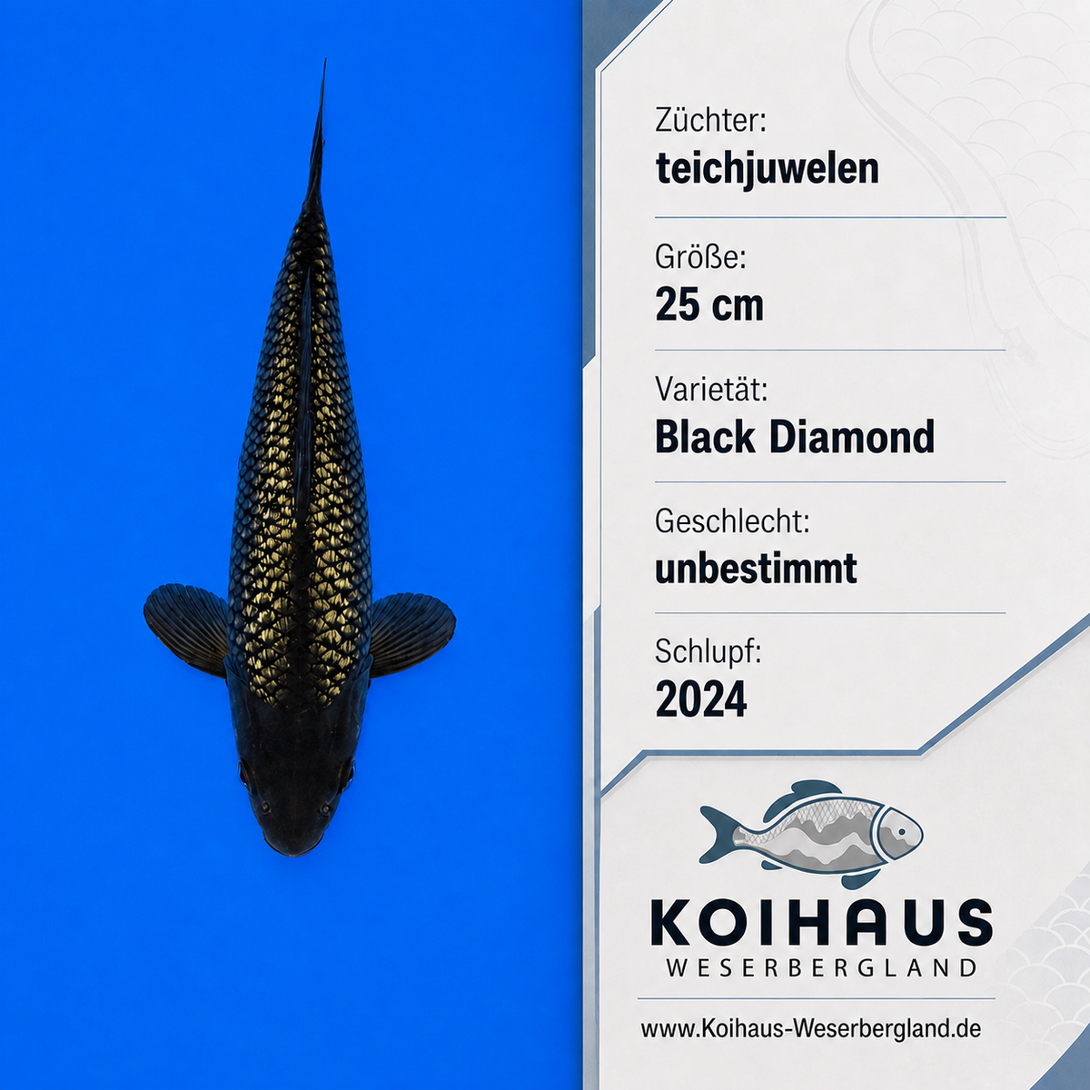 Black Diamond